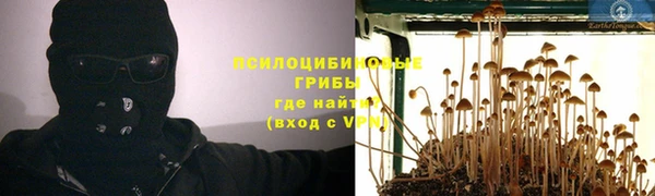 амф Гусиноозёрск
