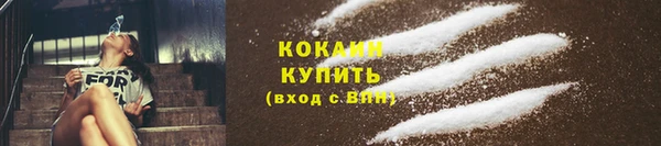 бошки Богданович